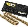 Pro Taper Gold Series PT 520 XRC Chain